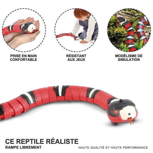 SnakyCat™ — Le Serpent Interactif Anti-Ennui pour Chat